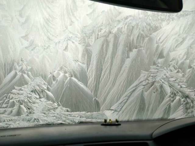 Photos That Unexpectedly Became Masterpieces (24 pics)