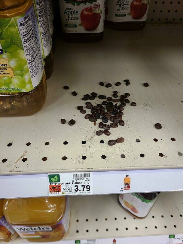 Weird But Funny Photos For Good Mood (22 pics) Weird But Funny Photos For Good Mood (22 pics)