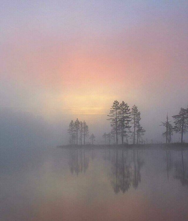 Photos That Unexpectedly Became Masterpieces (24 pics)