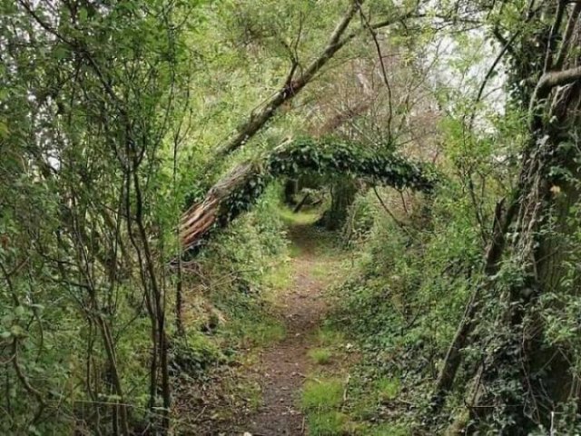 Photos That Unexpectedly Became Masterpieces (24 pics)