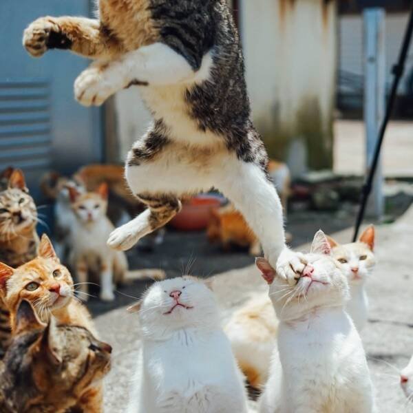 Photos That Unexpectedly Became Masterpieces (24 pics)