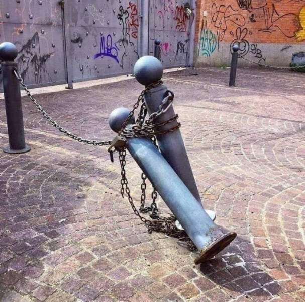 Photos That Unexpectedly Became Masterpieces (24 pics)