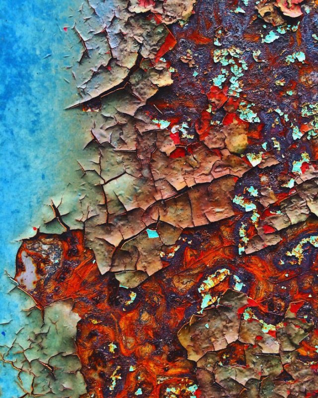 Photos That Unexpectedly Became Masterpieces (24 pics)