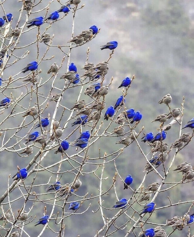 Photos That Unexpectedly Became Masterpieces (24 pics)