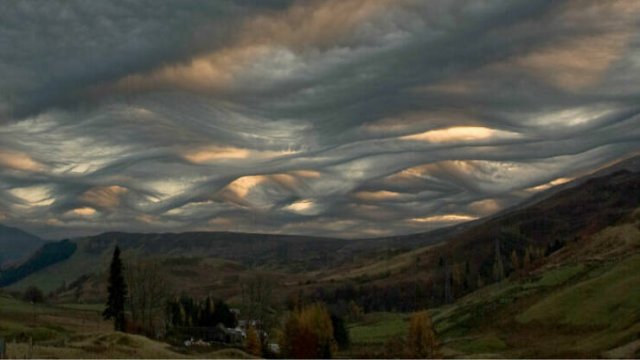 Photos That Unexpectedly Became Masterpieces (24 pics)