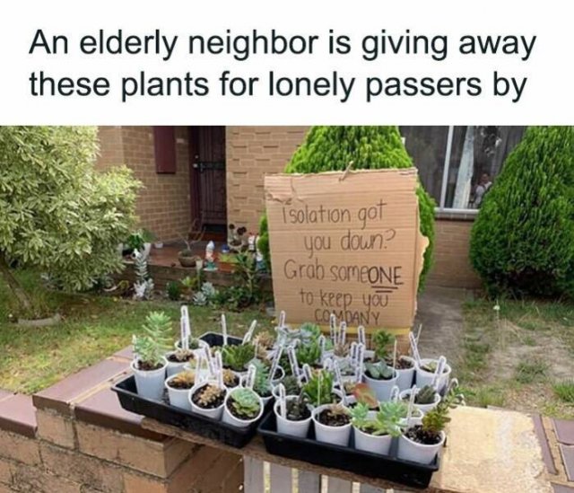Posts For Plant Lovers (25 pics)