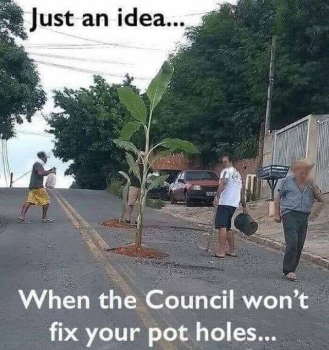 Posts For Plant Lovers (25 pics)