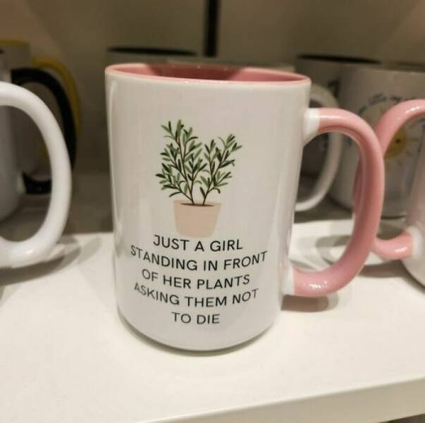 Posts For Plant Lovers (25 pics)