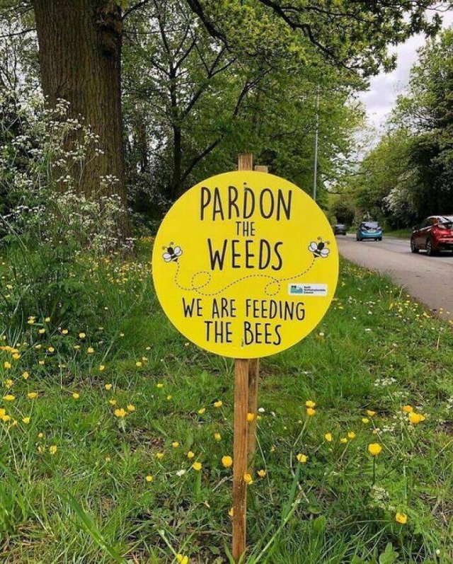 Posts For Plant Lovers (25 pics)