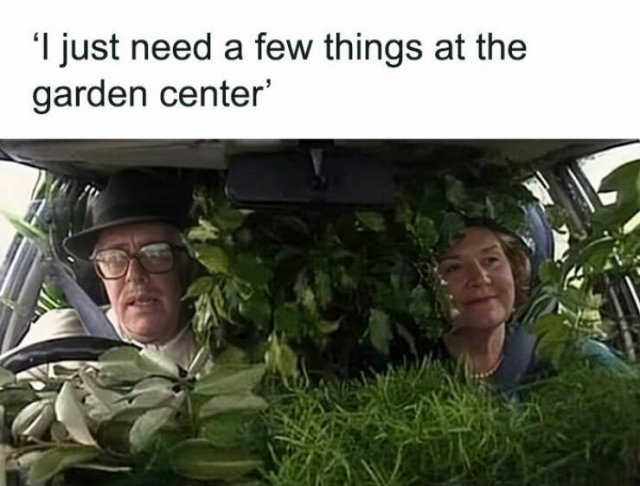 Posts For Plant Lovers (25 pics)