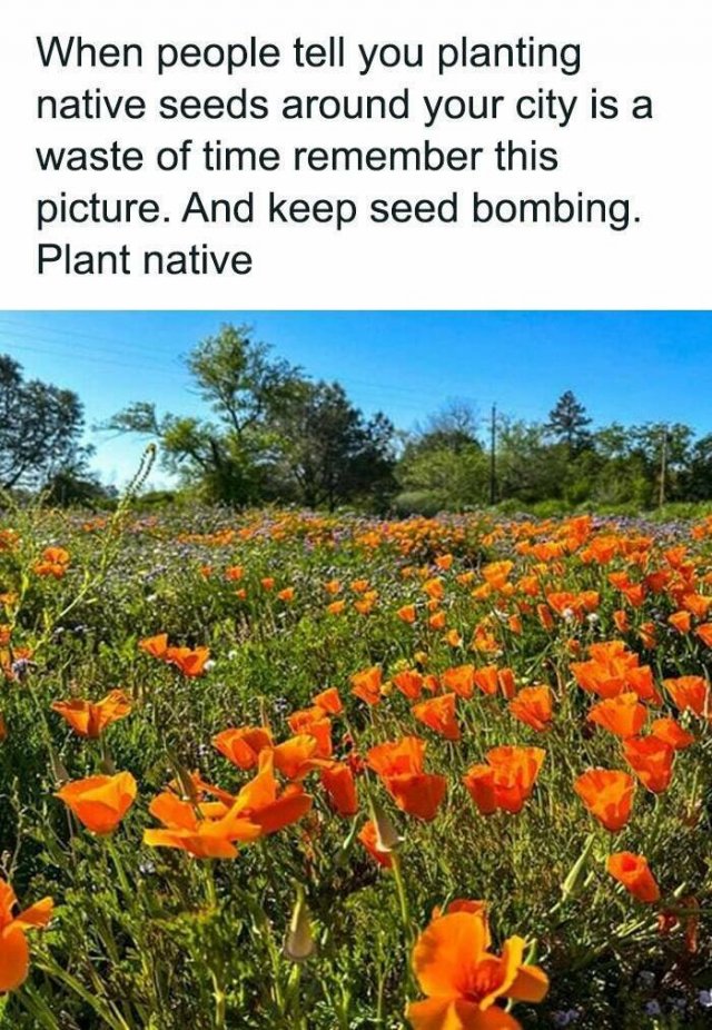 Posts For Plant Lovers (25 pics)
