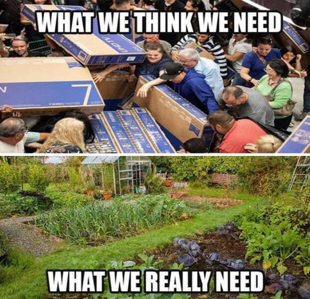 Posts For Plant Lovers (25 pics)
