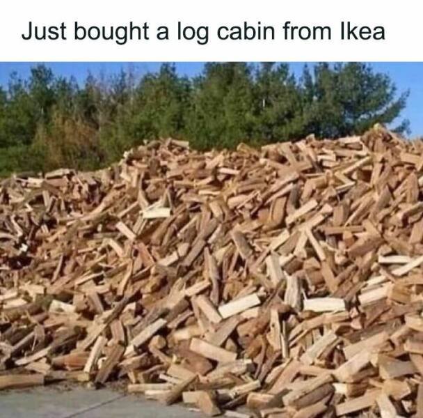 Posts For Plant Lovers (25 pics)