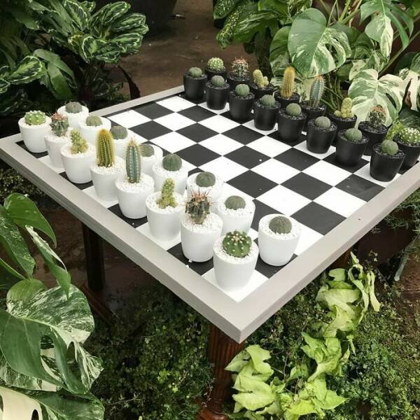 Posts For Plant Lovers (25 pics)