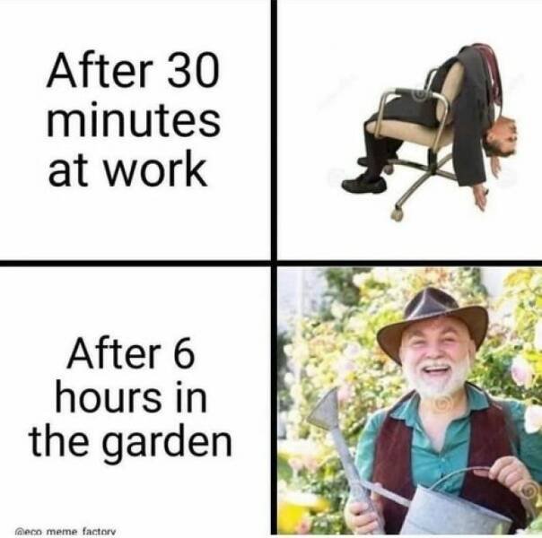 Posts For Plant Lovers (25 pics)