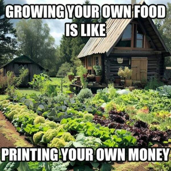 Posts For Plant Lovers (25 pics)
