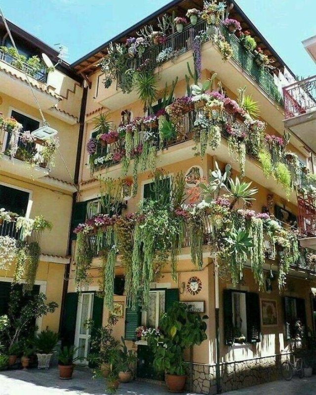 Posts For Plant Lovers (25 pics)