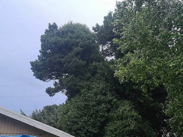 Look Twice (31 pics)