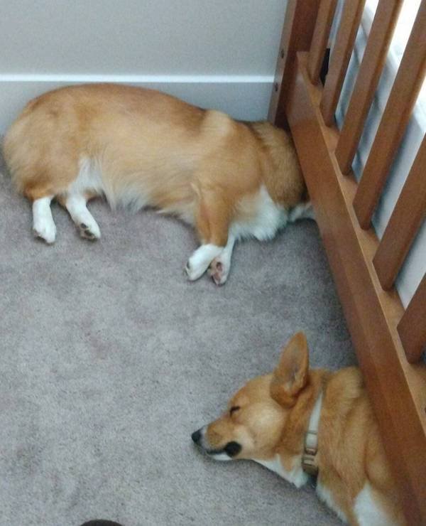 Look Twice (31 pics)