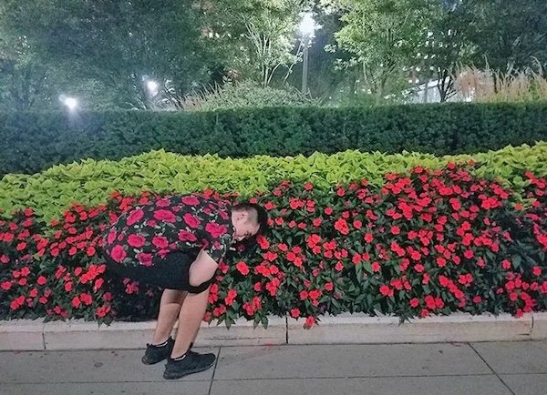 Look Twice (31 pics)