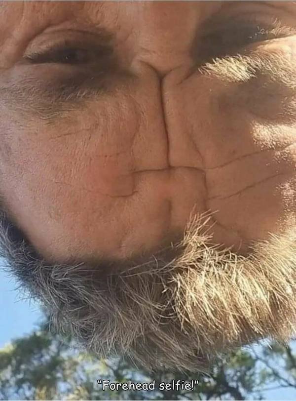 Look Twice (31 pics)
