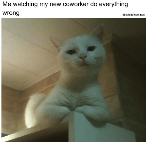 Work Memes (23 pics)