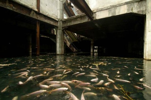 Beautiful Abandoned Places (24 pics) Beautiful Abandoned Places (24 pics)
