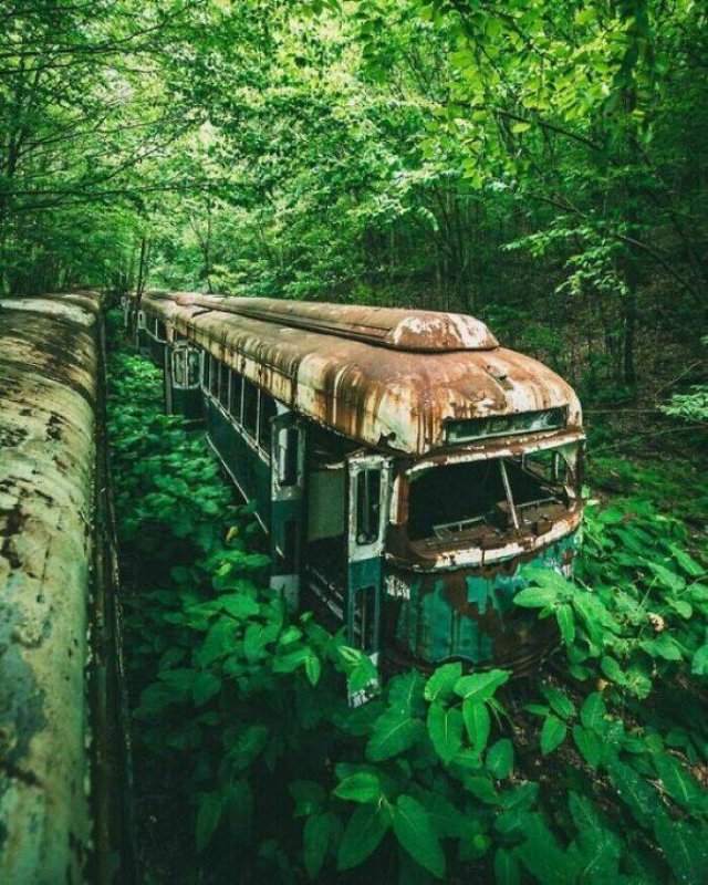 Beautiful Abandoned Places (24 pics)