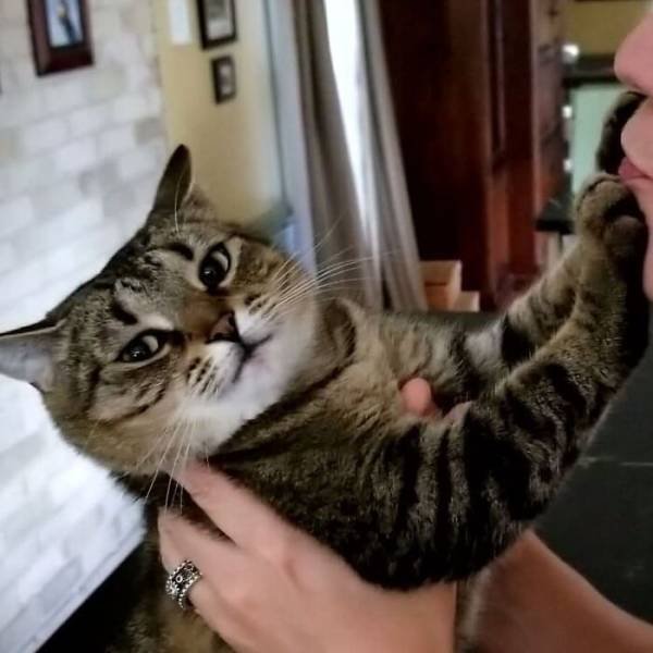 They Don't Like To Be Photographed (38 pics)