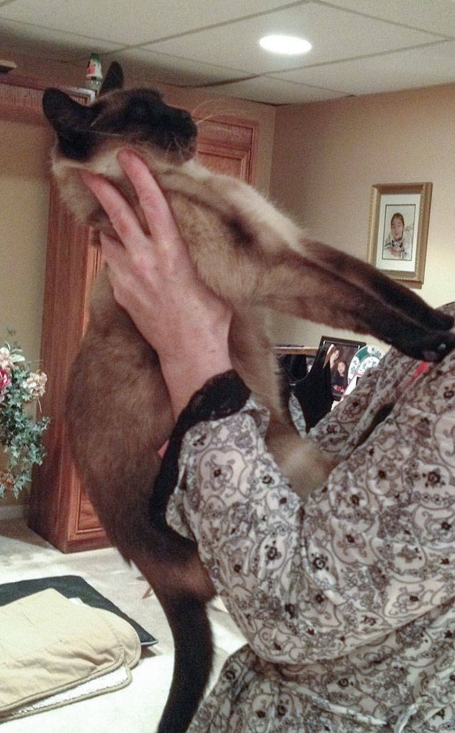 They Don't Like To Be Photographed (38 pics) They Don't Like To Be Photographed (38 pics)