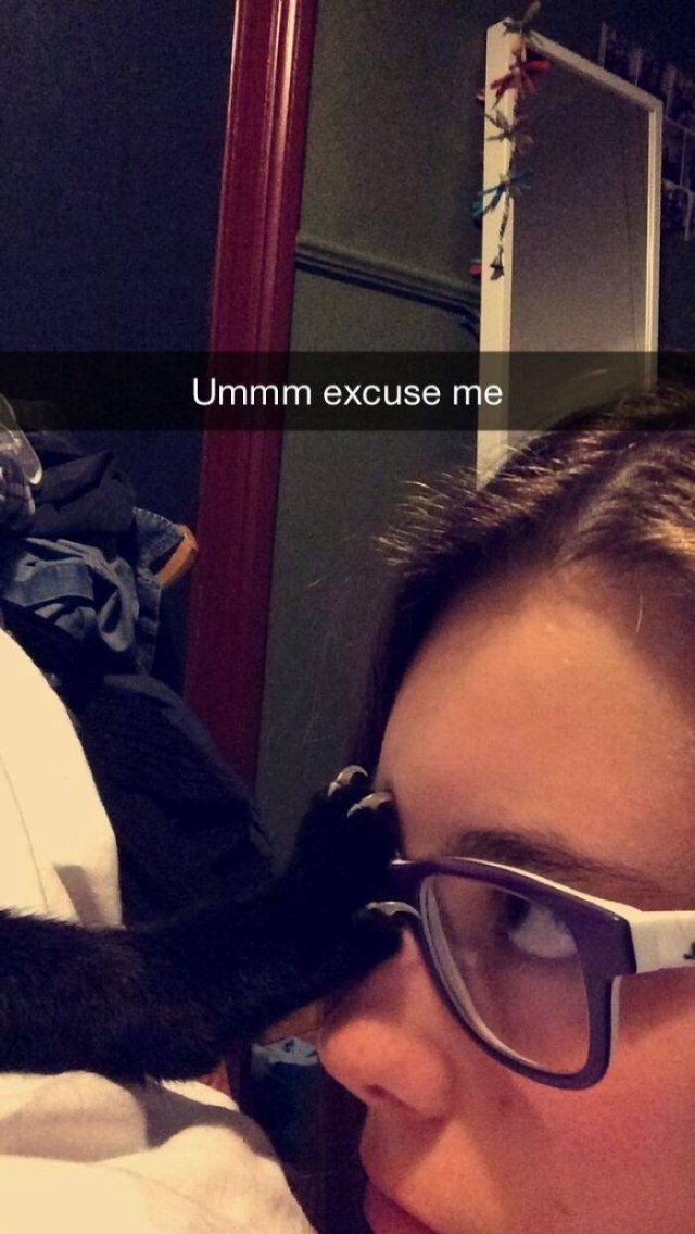 They Don't Like To Be Photographed (38 pics) They Don't Like To Be Photographed (38 pics)