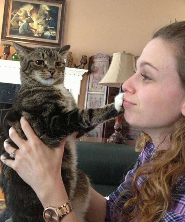 They Don't Like To Be Photographed (38 pics) They Don't Like To Be Photographed (38 pics)