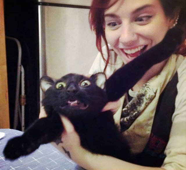 They Don't Like To Be Photographed (38 pics)
