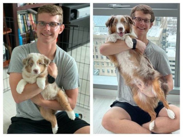 Dogs Grow Very Fast (35 pics)