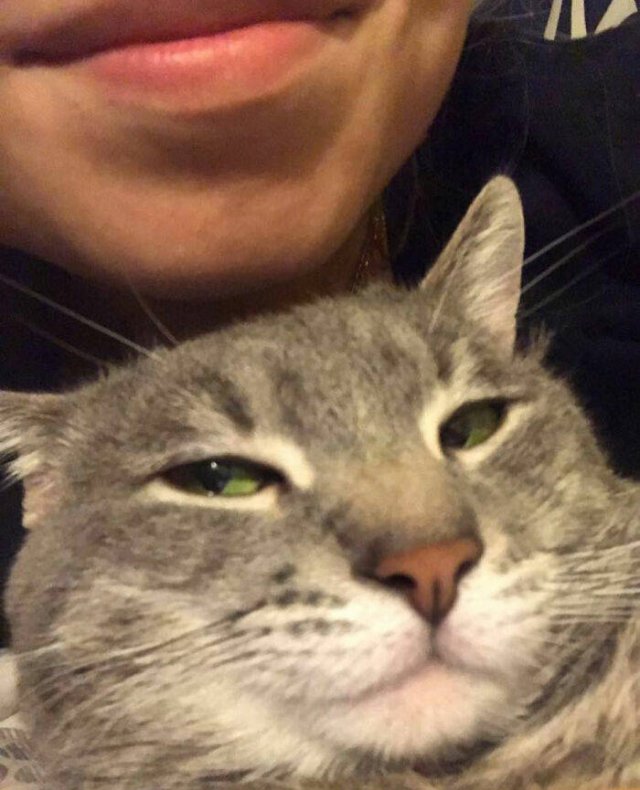 They Don't Like To Be Photographed (38 pics) They Don't Like To Be Photographed (38 pics)
