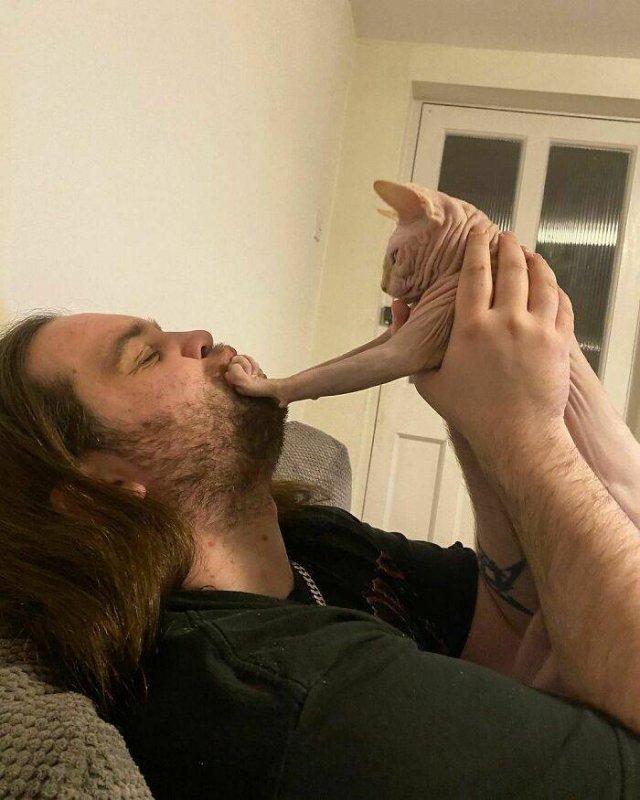 They Don't Like To Be Photographed (38 pics)