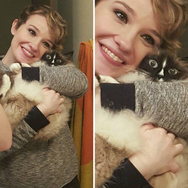 They Don't Like To Be Photographed (38 pics) They Don't Like To Be Photographed (38 pics)