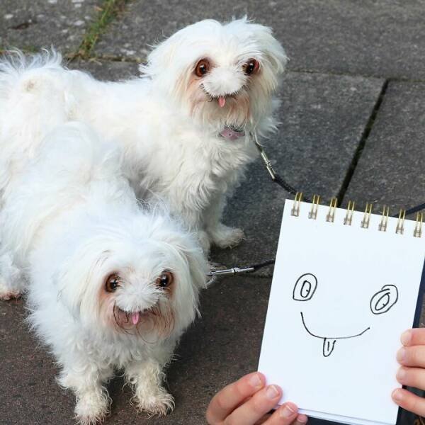 Children's Drawings Turned Into Reality (20 pics)