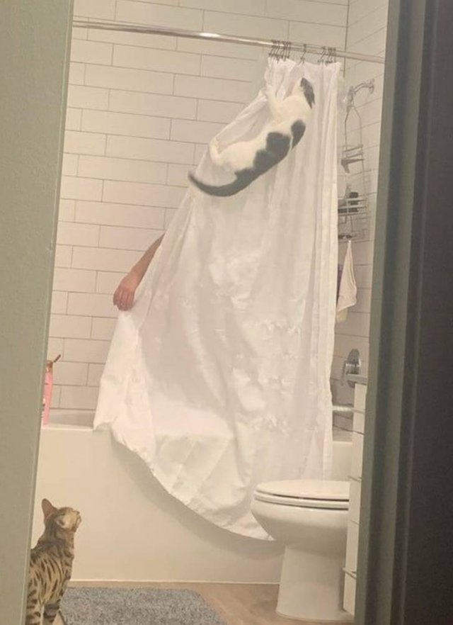 You Can't Be Mad At These Pets (23 pics) You Can't Be Mad At These Pets (23 pics)