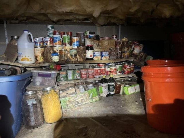 Unusual Finds In Houses (15 pics)