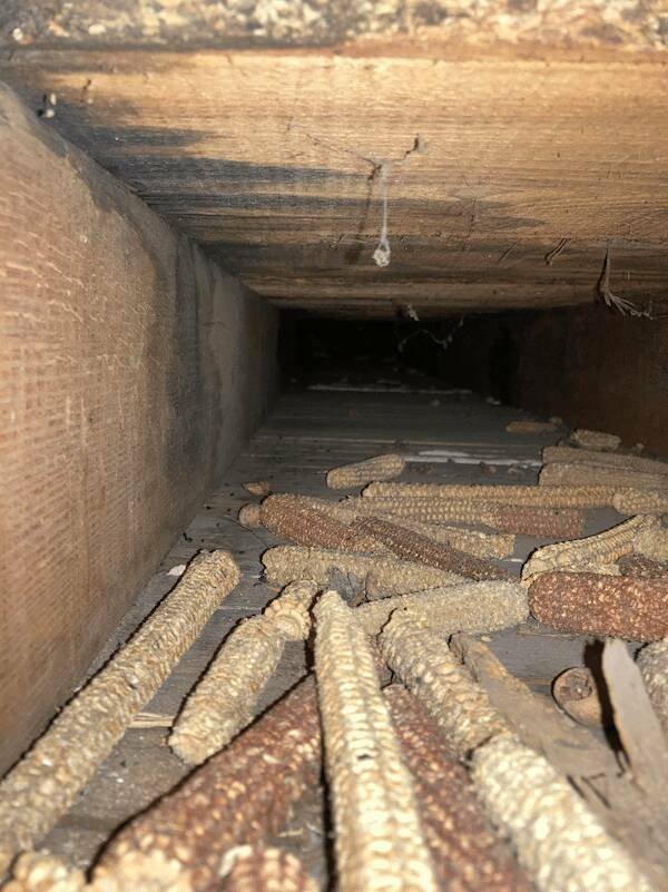 Unusual Finds In Houses (15 pics)