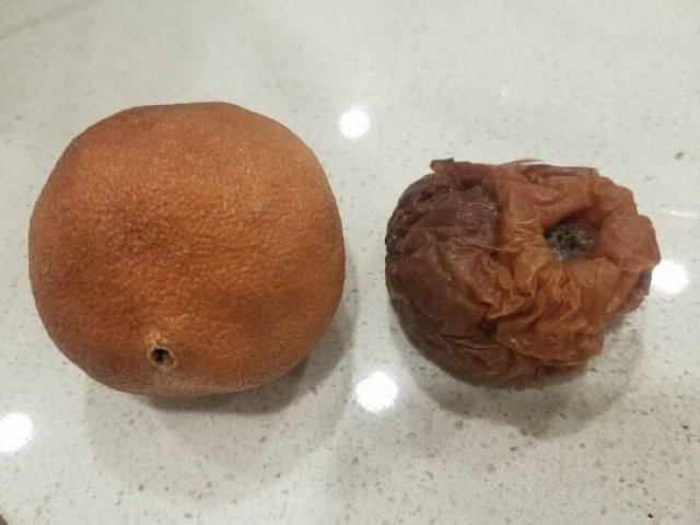 Interesting Finds And Discoveries (20 pics)