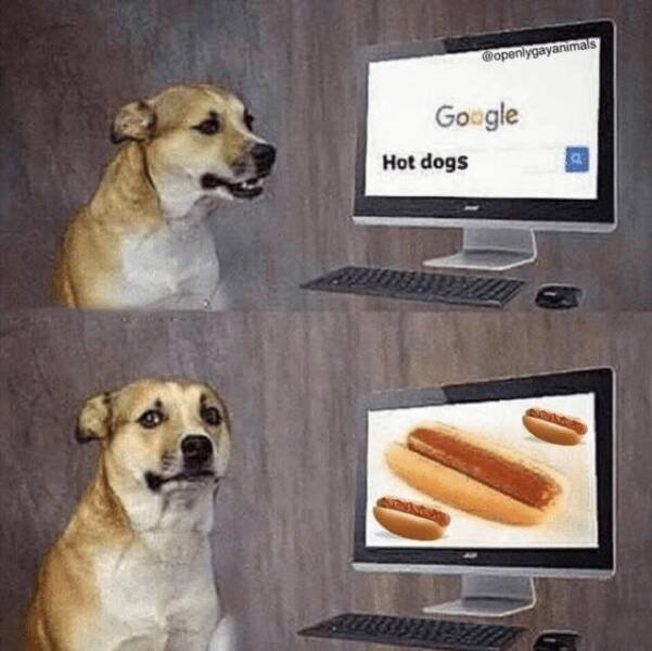 Jokes For Hot Dog Lovers (22 pics)