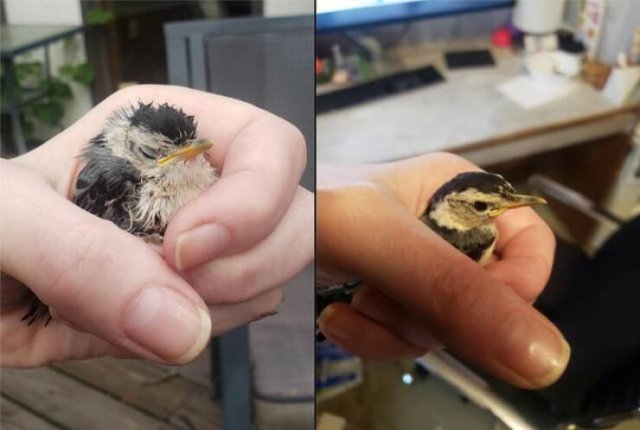 Interesting Finds And Discoveries (20 pics)