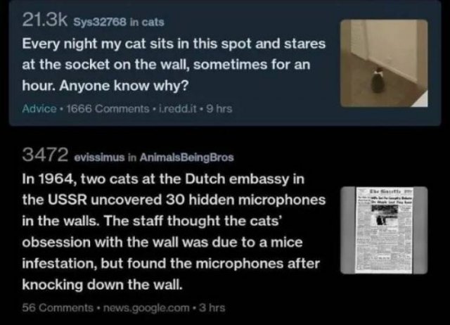 Creepy Photos (23 pics)