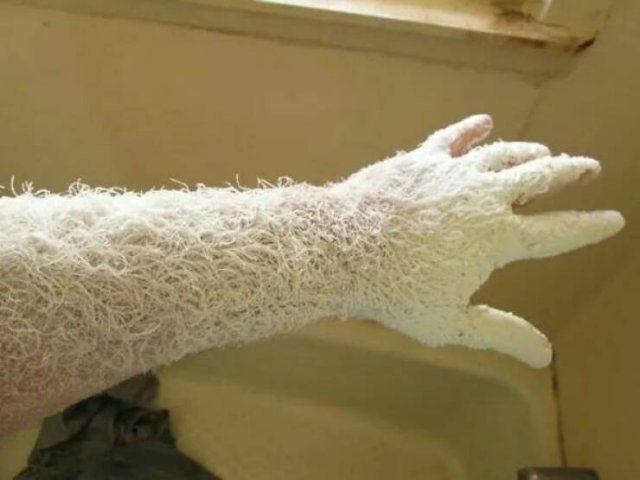 Creepy Photos (23 pics)