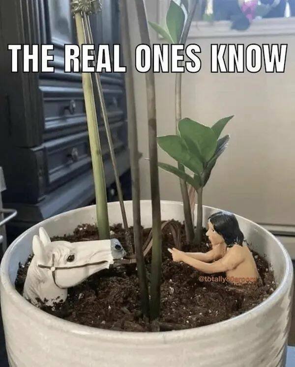 Funny Memes (28 pics)