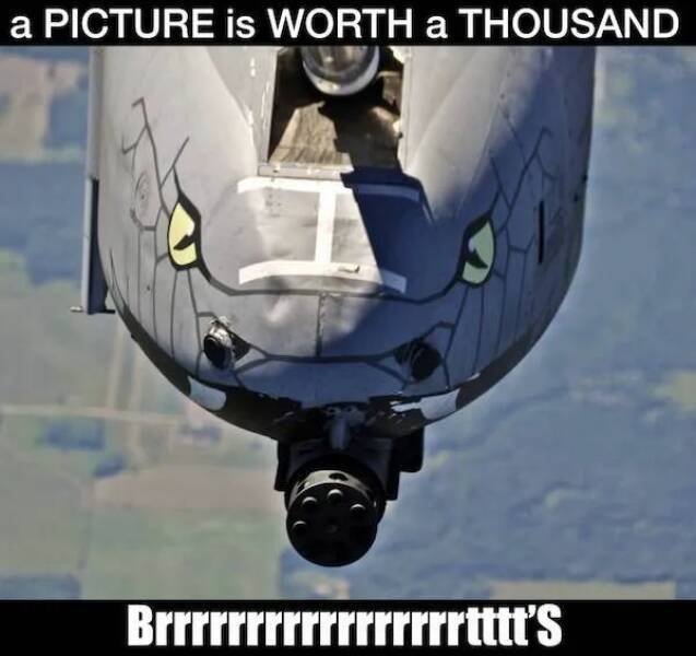 Military Memes (16 pics)