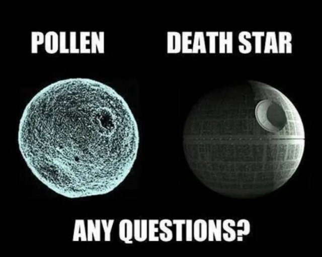 Funny Memes (28 pics)