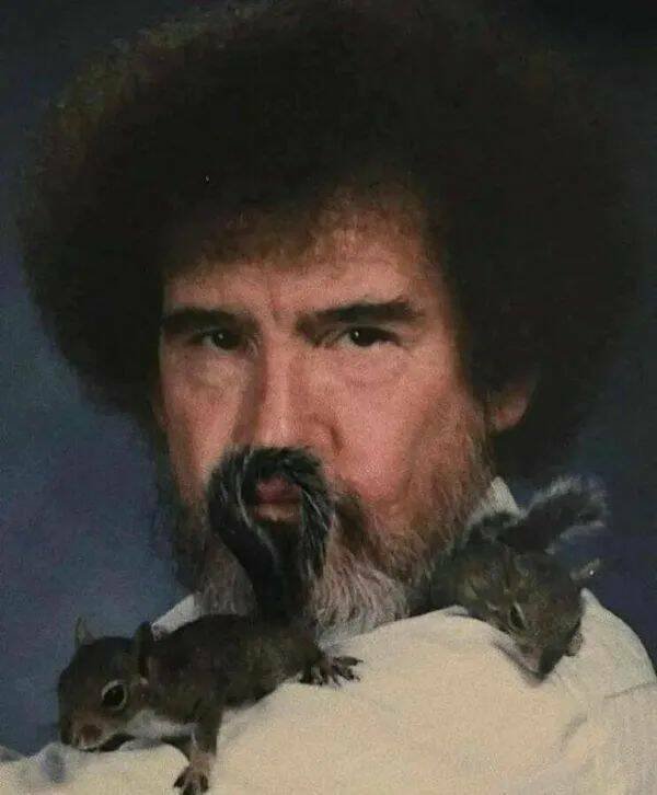 Funny Animals (22 pics)